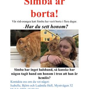 Bortsprungens katt Eskilstuna 